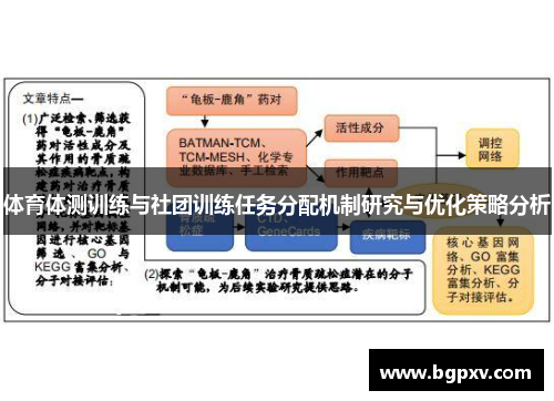体育体测训练与社团训练任务分配机制研究与优化策略分析